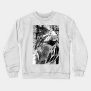 African Giraffe Amelopardalis Giraffa Crewneck Sweatshirt